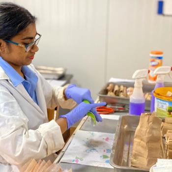Lab tech